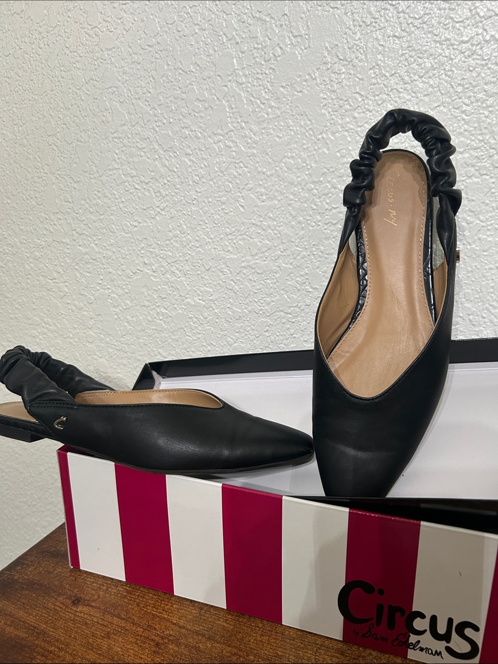 Circus by Sam Edelman Black Ruched Slingback Pointed Flats